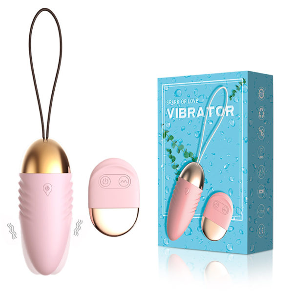 Wireless Remote Control 10 Speeds Vibrating Egg