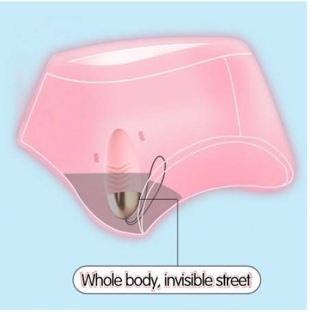 Wireless Remote Control 10 Speeds Vibrating Egg - Sex Toys